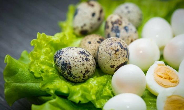 Соус айоли: рецепты как приготовить в домашних условиях быстро и вкусно